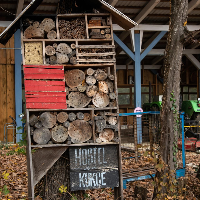 Hotel za kukce, ilustrativna fotografija