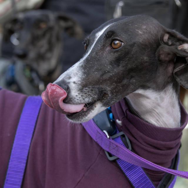 Ilustrativna fotografija