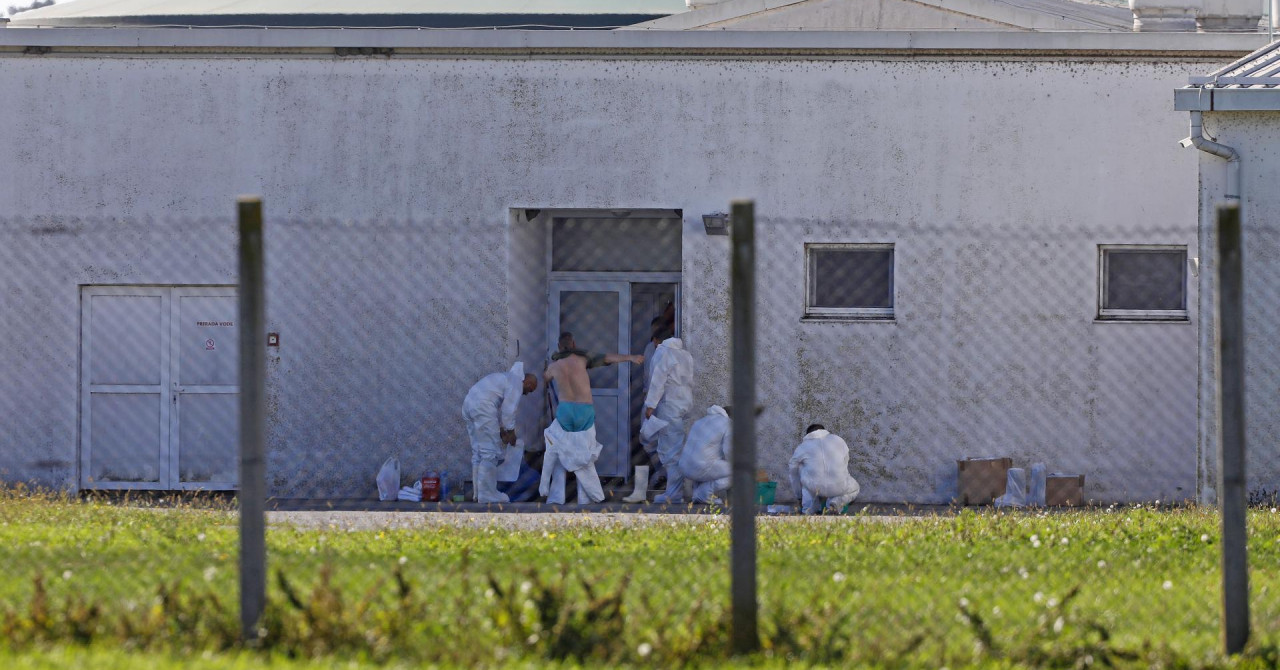 Uvode se nove stroge zabrane zbog afričke svinjske kuge