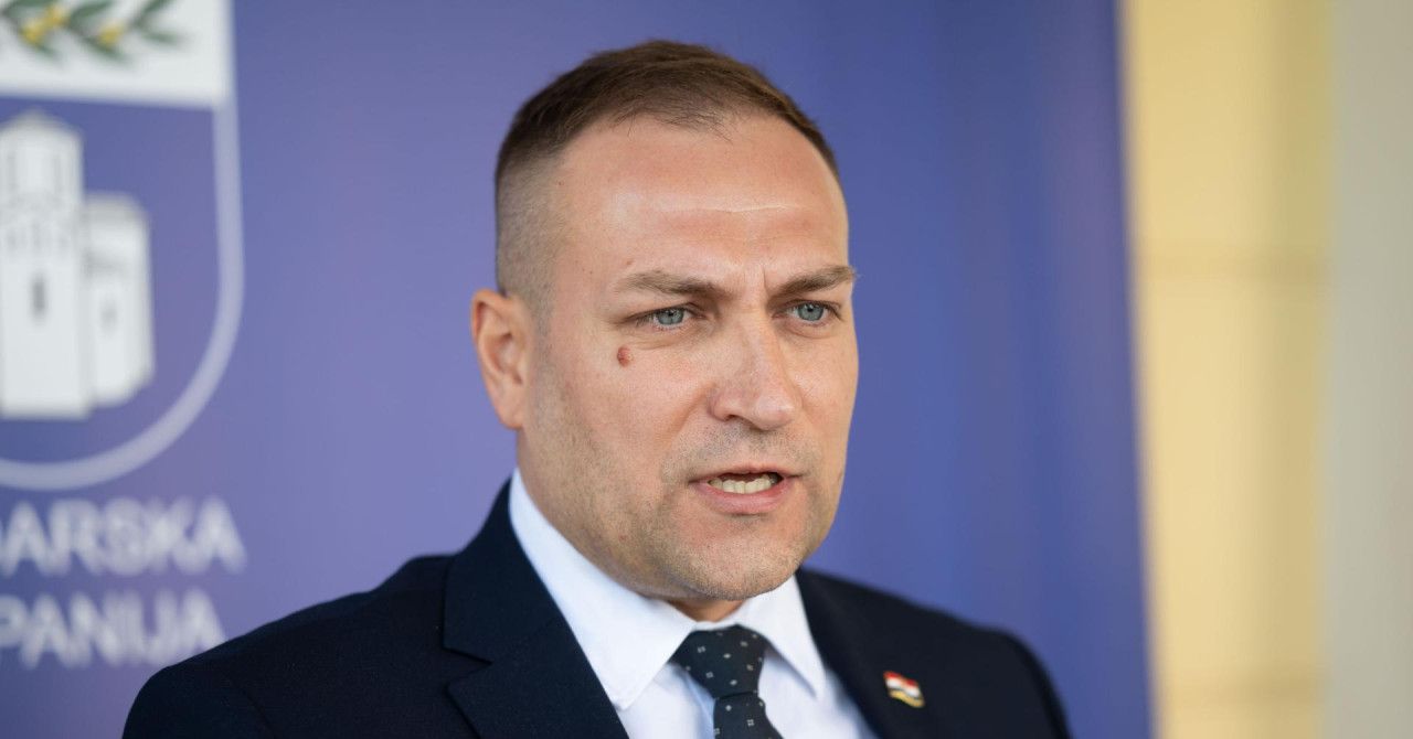 Vlajčić najavio potpuni odstrel divljih svinja u tri županije