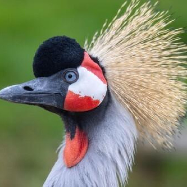 Ilustrativna fotografija