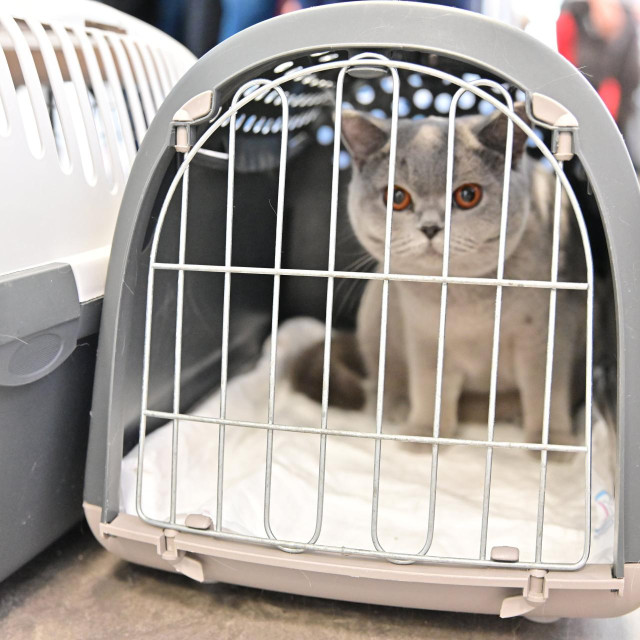 Ilustrativna fotografija