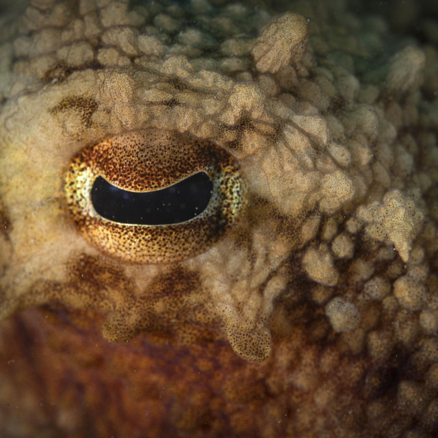 Ilustrativna fotografija