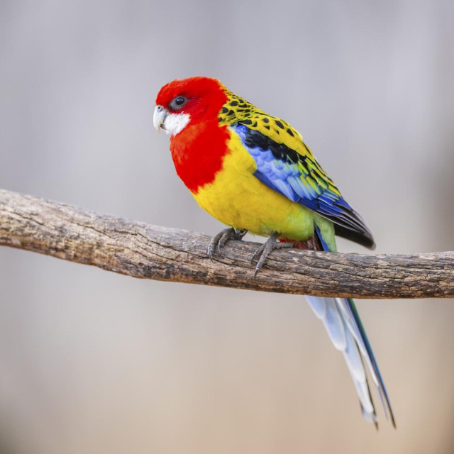 Ilustrativna fotografija