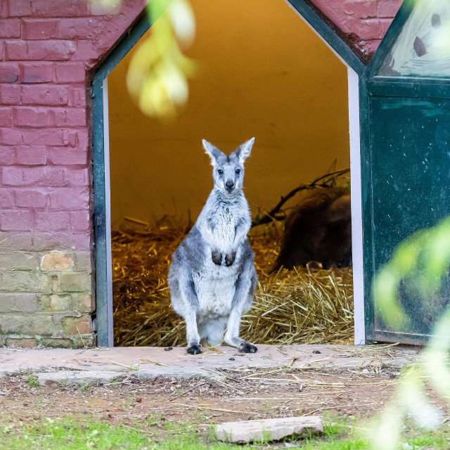 Prizor iz zagrebačkog ZOO vrta, ilustrativna fotografija