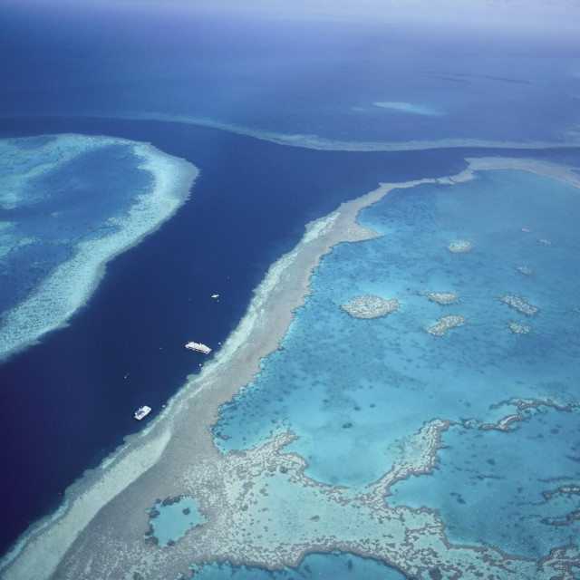 Veliki koraljni greben