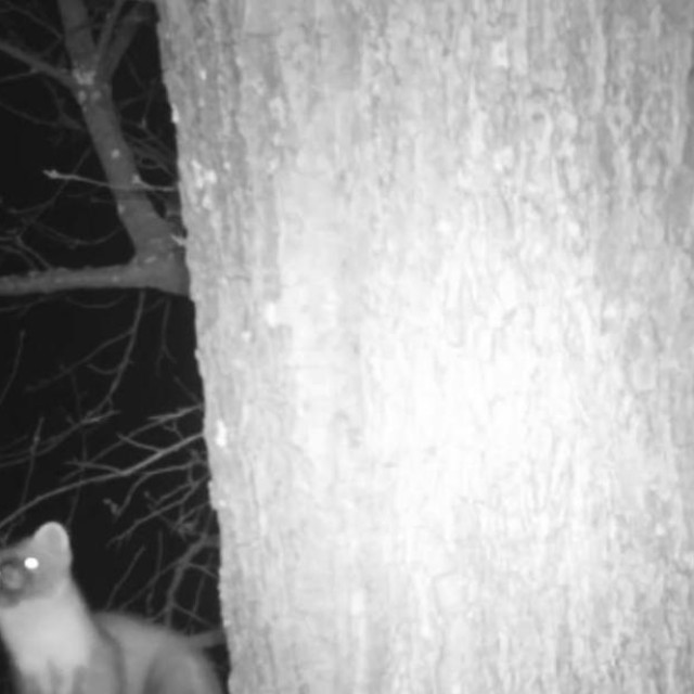 JU Međimurska priroda