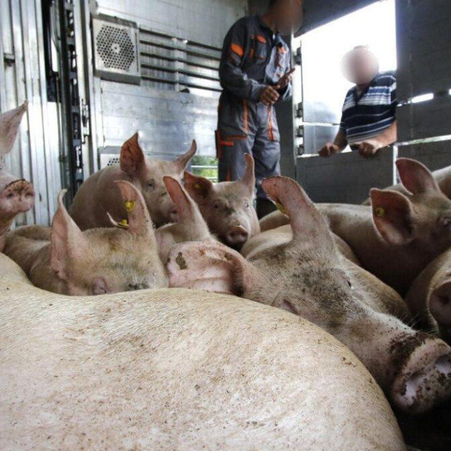 Ilustrativna fotografija