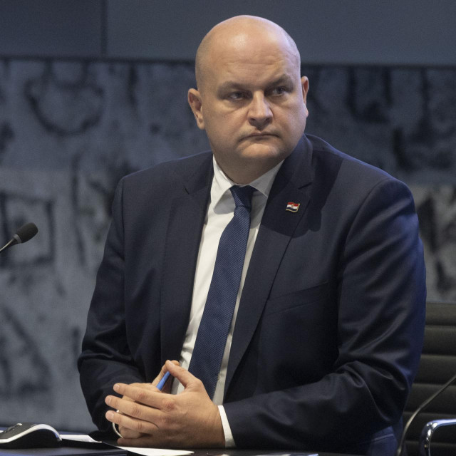 Ministar gospodarstva Ante Šušnjar