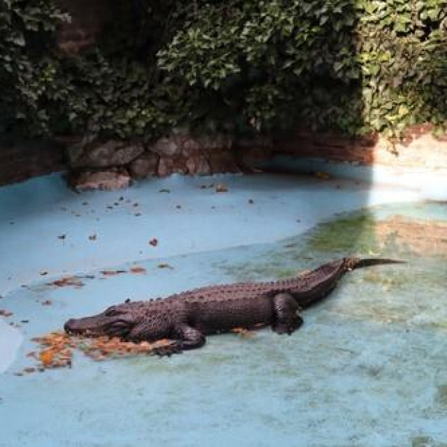 Ilustrativna fotografija