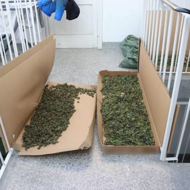 zaplijena droge na zagrebačkom području