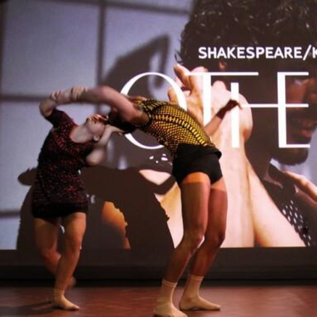 Damir Martinović Mrle