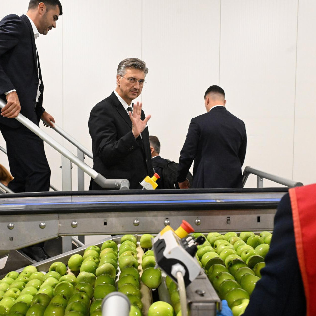 Luka Cvitan, Andrej Plenković