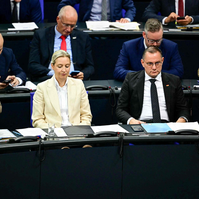 Alice Weidel, Tino Chrupalla, Alexander Gauland, Bernd Baumann i ostali vodeći ljudi AfD-a