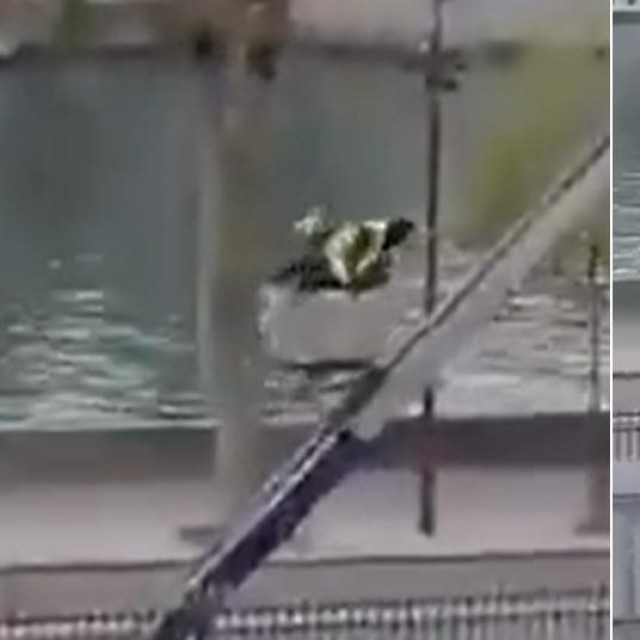 Snimka pljačkaša iz Louvrea