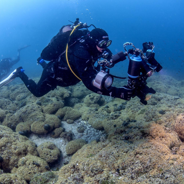 Zaron na grebenu busenastog koralja u Velikom jezeru NP Mljet