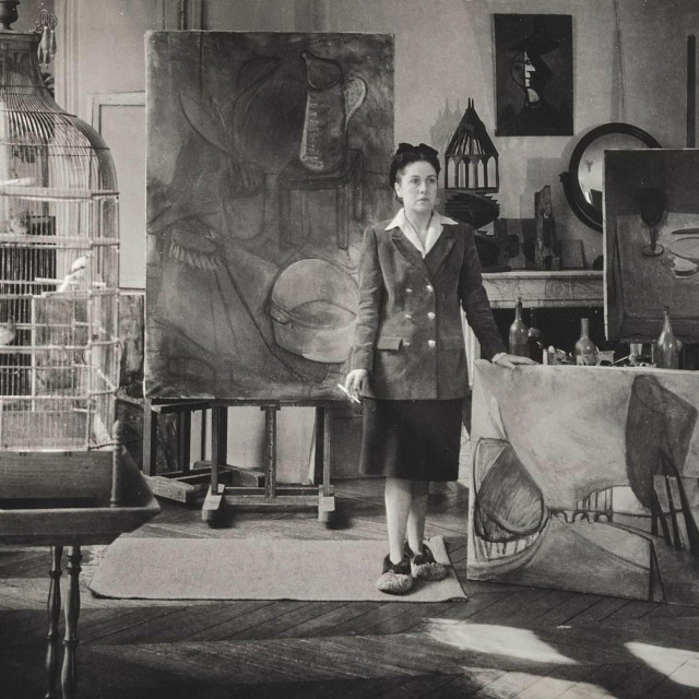 Dora Maar, ilustrativna fotografija