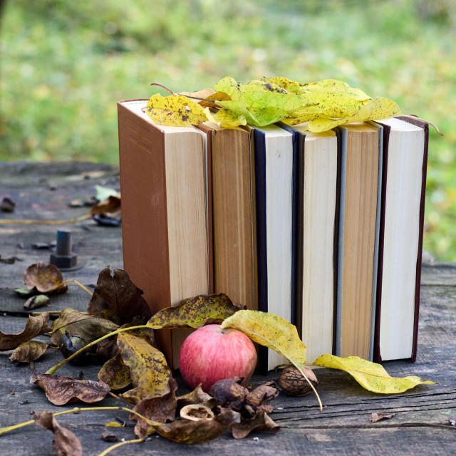 Knjige

Ilustrativna fotografija