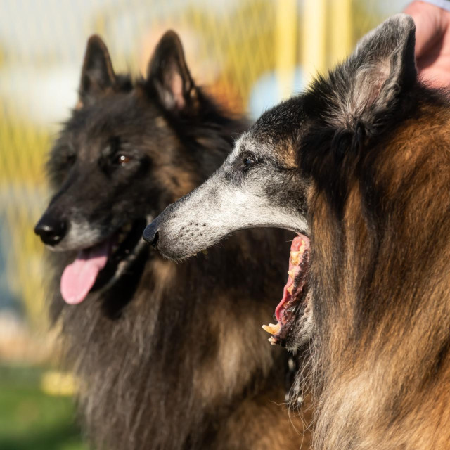 Ilustrativna fotografija