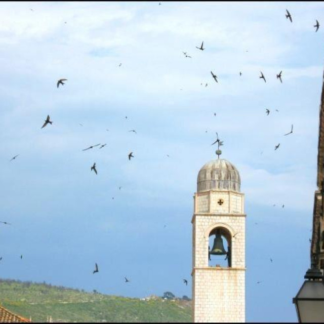 Ilustrativna fotografija