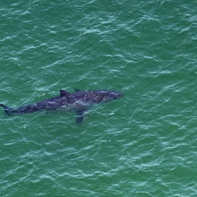 Ilusrativna fotografija