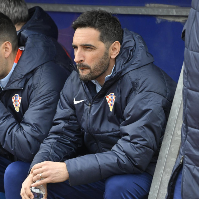 Izbornik Marijan Budimir