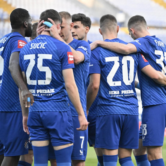 Petar Sučić i suigrači u Dinamu