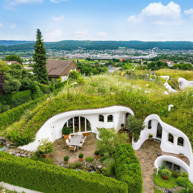 Jedina briga novom vlasniku bit će košnja trave na krovu kuće