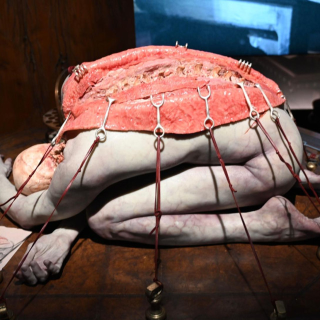 Guillermo del Torro snimio je novu verziju filma o Frankensteinu