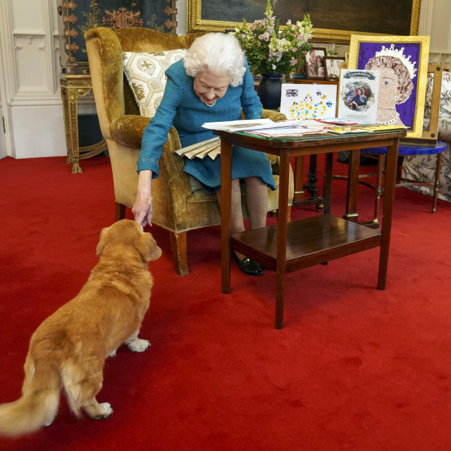 Fotografija snimljena u veljači 2022. godine, na kojoj je Elizabeta II snimljena u društvu kujice Candy
