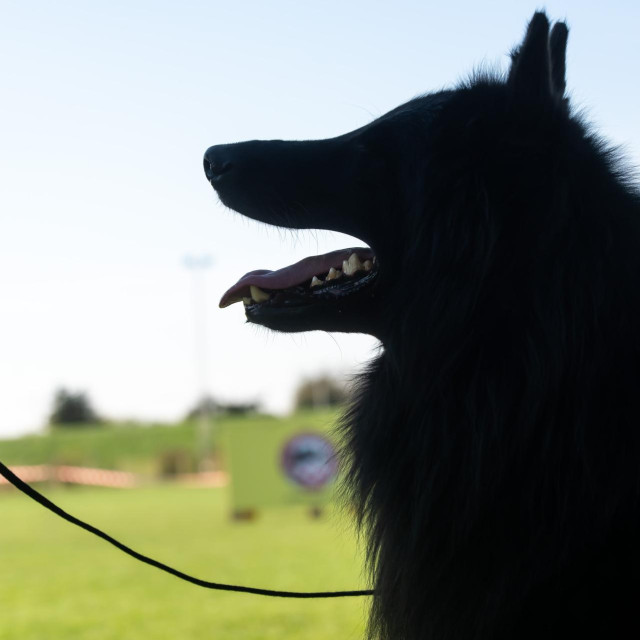 Ilustrativna fotografija