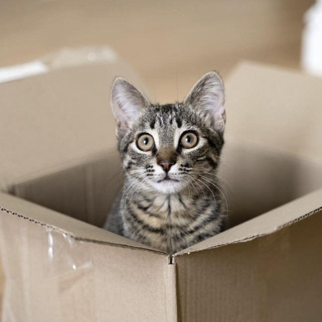 Ilustrativna fotografija