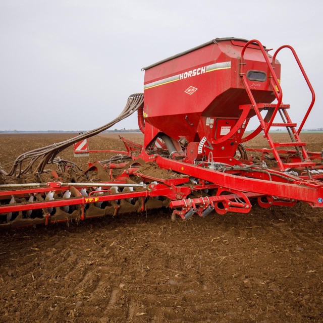 Sjetva pšenice/ Ilustrativna fotografija