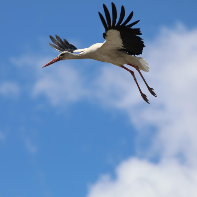 Ilustrativna fotografija