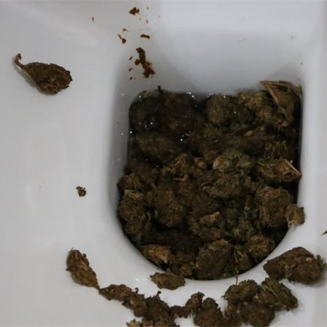 Bačena droga u WC školjku