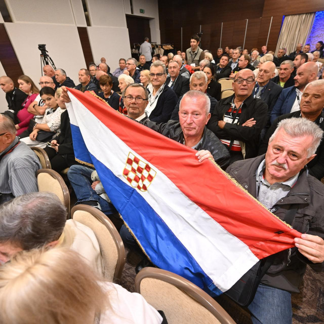 Osnivački sabor stranke Domino