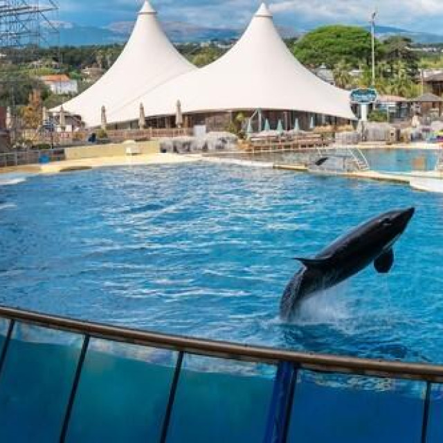 Prizor iz Marienlanda