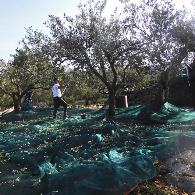 Ilustrativna fotografija