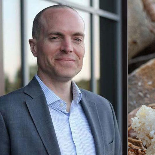 Daniel Owen; azijski stršljen