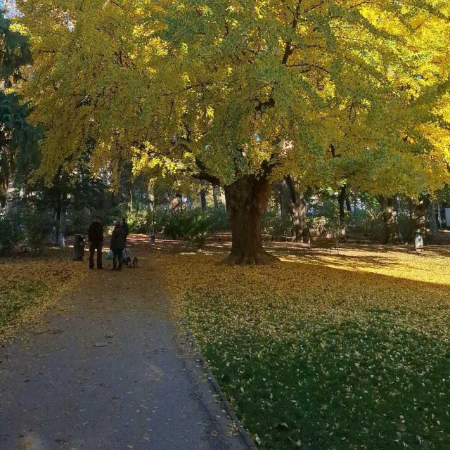 Trg kralja Petra Krešimira IV.