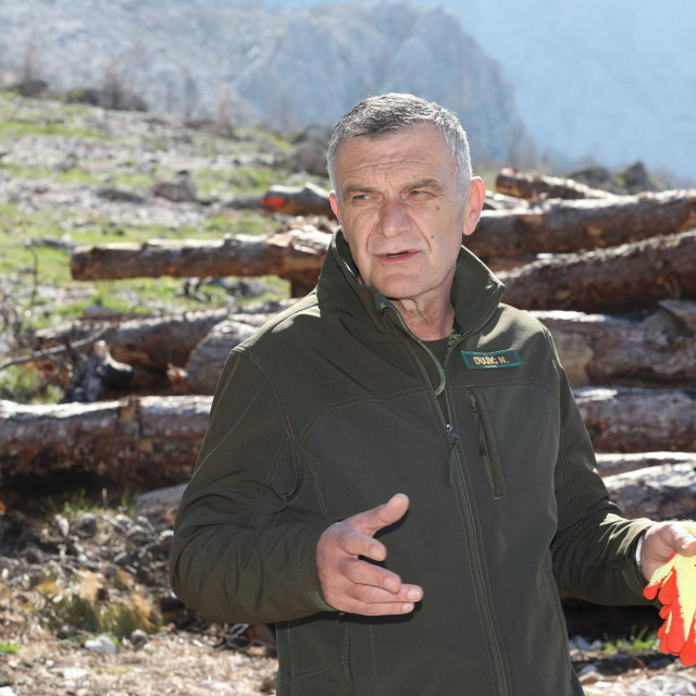 Nediljko Dujić više neće biti predsjednik Uprave Hrvatskih šuma