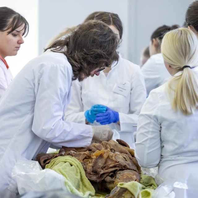 Zavod za anatomiju u Zagrebu, ilutrativna fotografija
 