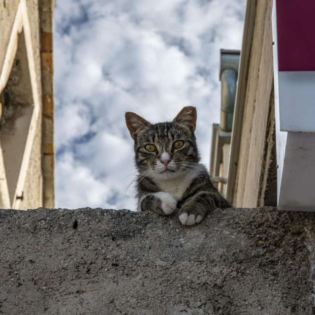 Ilustrativna fotografija