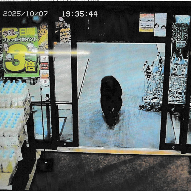 Snimka medvjeda koji je ušao u jednu trgovinu u Japanu