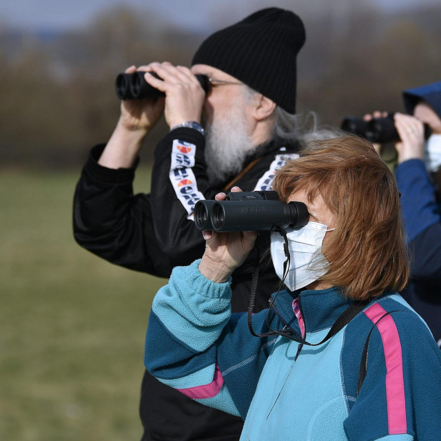 Promatranje ptica za ljubitelje prirode u organizaciji udruge BIOM, ilustrativna fotografija