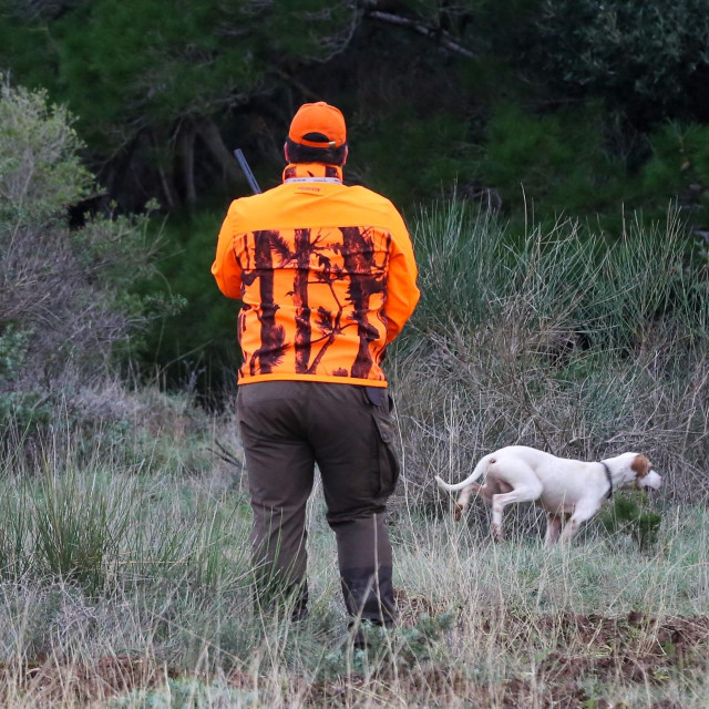 Ilustrativna fotografija