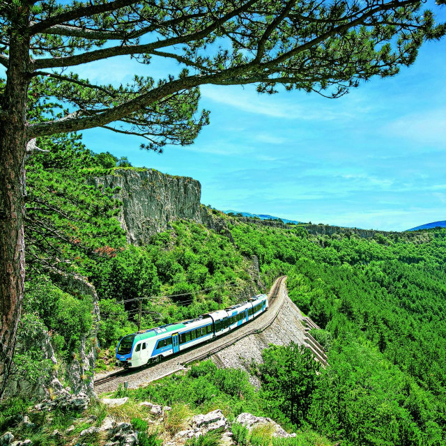 Slovenske željeznice