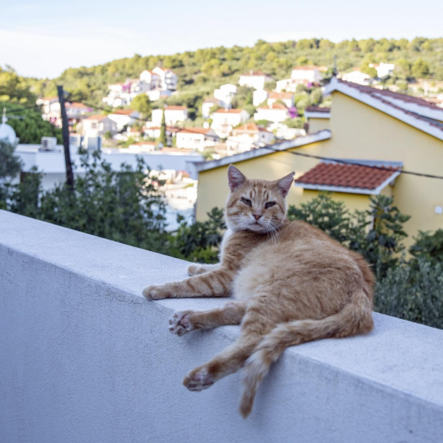 Ilustrativna fotografija