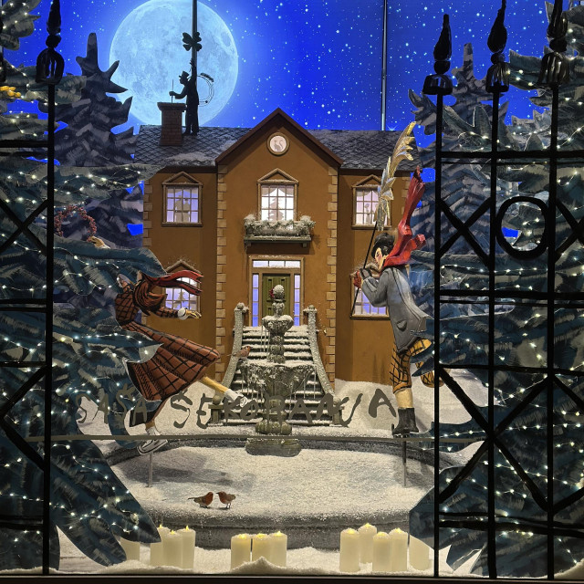 Saša Šekoranja izlog