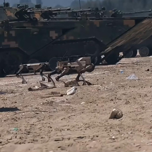 Kineski robotski psi za vojnu uporabu nazvani su robotski vukovi